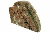 Polished Rainforest Jasper (Rhyolite) Section - Australia #221935-1
